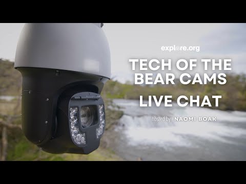 Tech of the Bear Cams | Brooks Live Chat