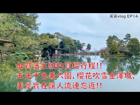 北陸四天三夜~櫻花、溫泉、美食！！｜到兼六園內享受200年前加賀藩主的賞花生活!｜鯊鯊vlog EP14