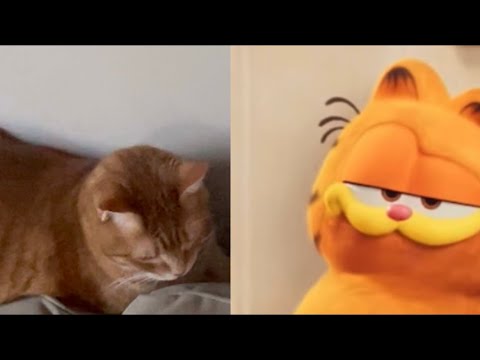 The Garfield Movie but he GETS REAL