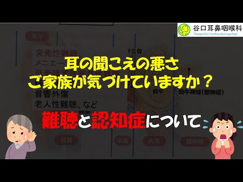 【現役医師が教える！】難聴と認知症の関連について｜家族の指摘がポイント！