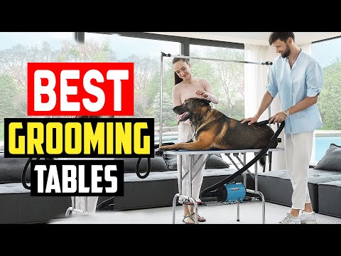 Top 5 Best Dog Grooming Tables in 2023