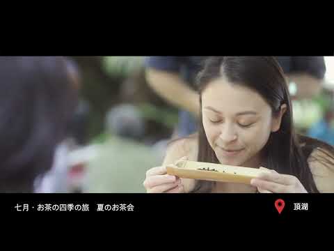 想像を覆す阿里山 (阿里山顛覆你的想像)