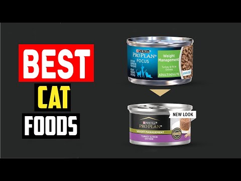 ✅Top 5 Best Cat Foods for Weight Loss in 2024