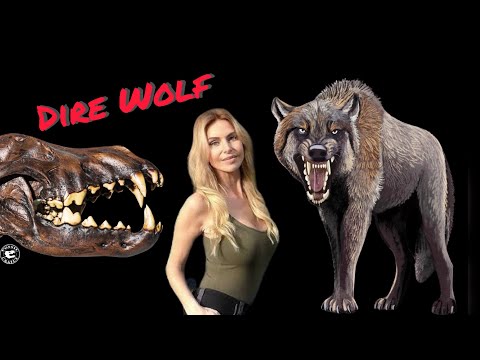 THE DIRE WOLF - THE MOST 'TERRIBLE' & HUGE WOLF EVER?