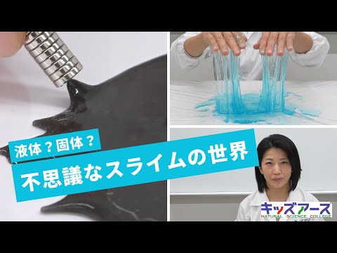 【家でできる実験】液体？固体？様々なスライムを作ろう