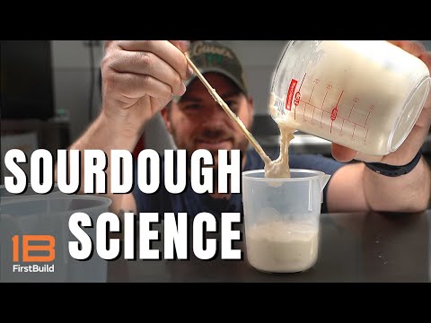 Sourdough Science: Pre-Prototype edition