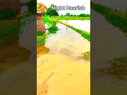 Main Baarish #farming #farminglife #trendingshorts #viralshort #youtubeshorts #nature #shorts