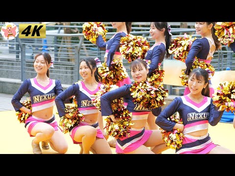 速報！【4K】社会人チア　Live!横浜YOKOHAMA 2024 #1