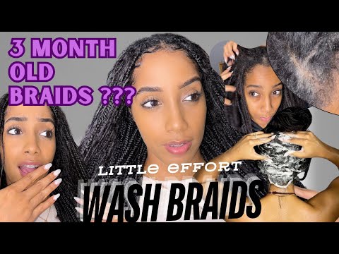 How to Wash Braids NO FRIZZ | Box Braids | Knotless Braids | Refresh Braids