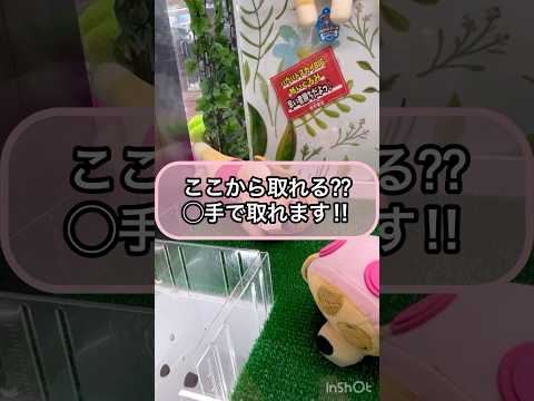 【クレーンゲーム攻略】ここから取れる？？◯手で取れます！！