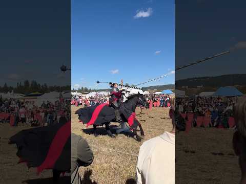 Jousting #renaissance #jousting #renaissancefaire #festival