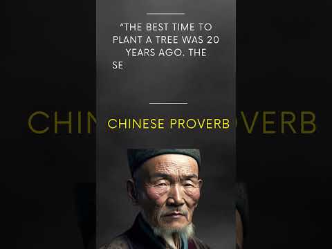 "Seize the Moment: Planting Trees of Opportunity Now #shorts #ChineseProverb"