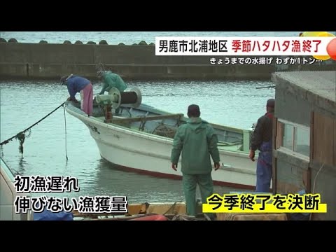 男鹿市北浦地区で季節ハタハタ漁“終了”　今季水揚げ約1トン…例年の1日分にとどまり肩落とす漁師　秋田 (24/12/26 20:30)