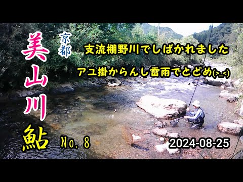 2024-08-24 京都美山川  アユ友釣り調査！No,8  兄貴3回目