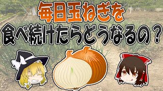 玉ねぎの健康効果がハンパない！？毎日食べ続けたらどうなる？【ゆっくり解説】