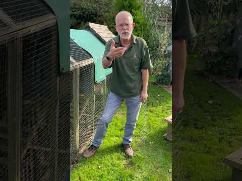 Hey Phill! How to Stop a Fox Breaking Into Your Chicken Coop #protectchickens #chickencoop #poultry