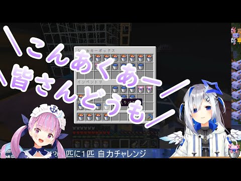 青ウパ耐久中に脳が壊れる天音かなた【ホロライブ切り抜き】