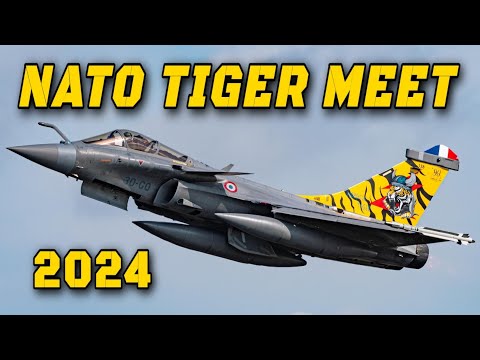 ✈️ Tiger Meet 2024 | Germany | AFTERMOVIE