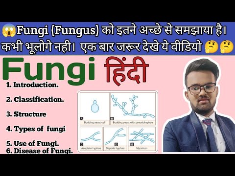 Fungi, Fungus Introduction And Classification In हिंदी ( Easy Way To Explain Fungus ) Mycology