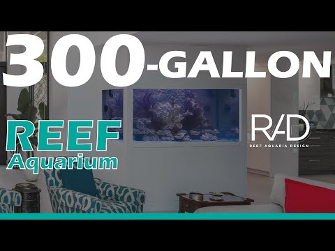 300-GALLON CUSTOM-MADE LIVE REEF AQUARIUM IN FORT LAUDERDALE, FLORIDA BY REEF AQUARIA DESIGN