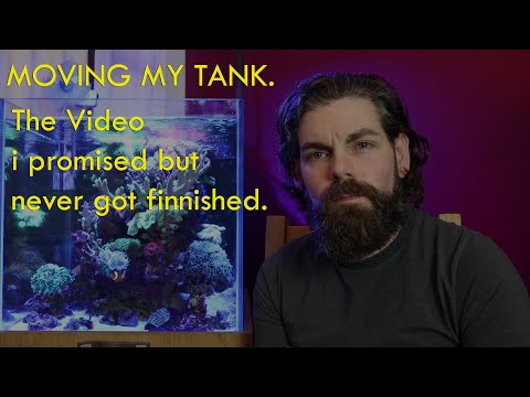 moving my reef tank