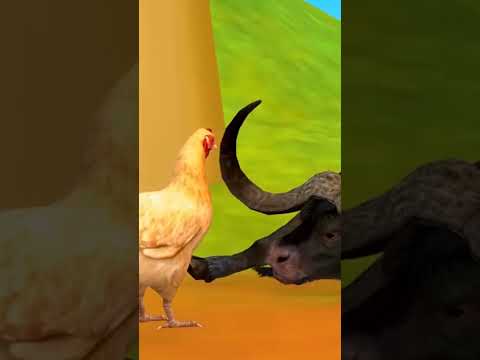 चतुर मुर्गी और होशियार बिल्ली की दोस्ती नैतिक कहानी- Panchatantra Moral Stories- 3d Stories In Hindi