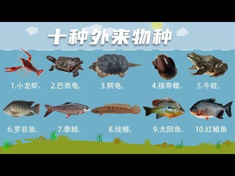 都说“外来的和尚会念经”，这10种外来物种都被吃得想赶紧回国！