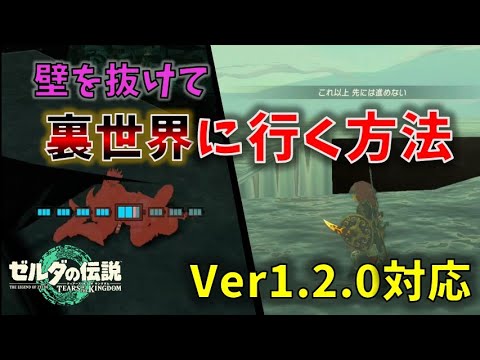 【ティアキン】Ver1.2.0でも裏世界に行ける方法を見つけたので紹介します【ゼルダの伝説 ティアーズ オブ ザ キングダム】