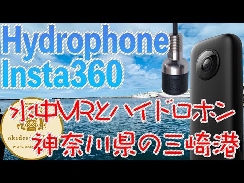 【水中360°VRとハイドロホン】神奈川県三浦市の三崎港