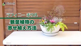 【生産終了】ラフィニーボウル｜ 秋苗の寄せ植え方法 【リッチェル公式 園芸用品】