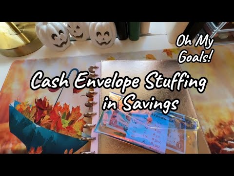 Cash Envelope Savings Stuffing - $698 | Oh My Goals!