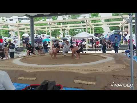 神奈川県民ジュニア相撲大会2024.6.23(日)😃中学生女子の部優勝🥇😁他小学生高学年男女の部💪関東大会出場へ❗️【五十嵐相撲倶楽部】