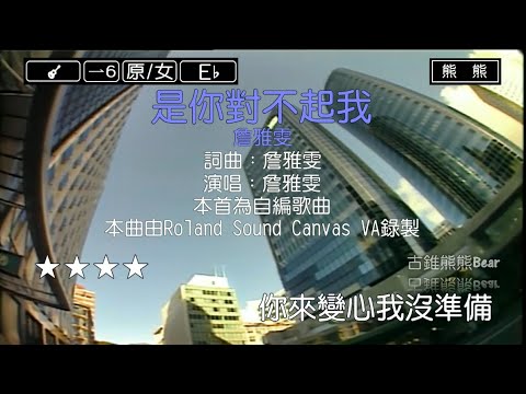 是你對不起我-詹雅雯(Karaoke伴奏)