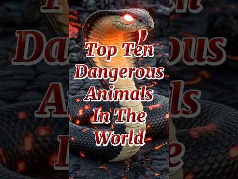 Top Ten Dangerous Animals In The World 🌎 #top10 #dangerousanimals