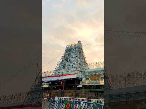 Divine Tirumala Temple #shorts #youtubeshorts #trending