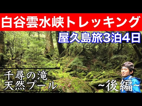 【屋久島ハイキング】3泊4日の旅～後編～｜白谷雲水峡・屋久島観光・鹿児島観光