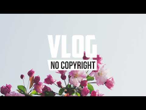 7sten - Stay Upright (Vlog No Copyright Music)