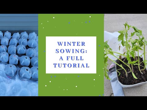 2023 Winter Sowing - a full tutorial