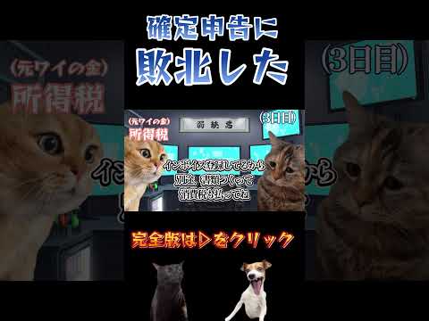 確定申告に敗北する一般人 #猫ミーム #猫マニ