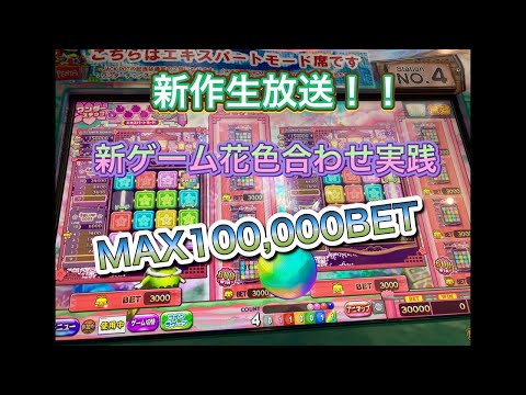 カラコロッタ新作やります！！MAXBET メダルゲーム配信