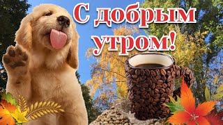 🍁С добрым утром! Красивая Музыкальная Открытка Пожелание Доброе утро Октябрь!