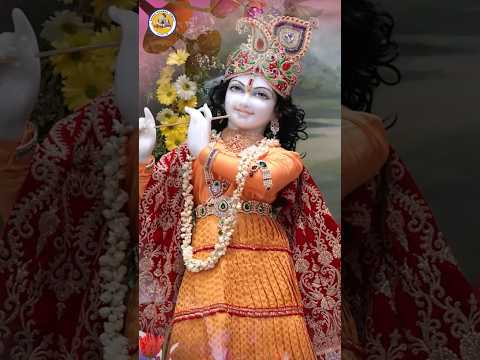 Radhey Govind Govind Radhey l Nam Sankirtan l Sunday Satsang Radha Krishna Temple of Dallas #shorts