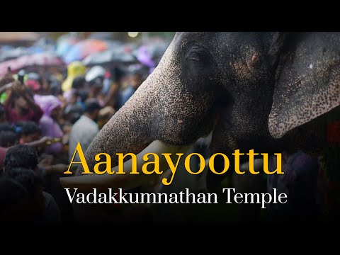 Feast for Elephants: Aanayoottu at Vadakkumnathan Temple