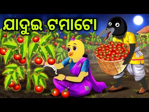 ଟିକି ର ଟମାଟର ବେପାର | Tiki Ra Tomato Bepara | Tiki Chadhei | Odia Gapa | Chadhei Gapa