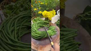 Stir fried long bean easy recipe 😋 #shorts #tastyfood #cooking #organic #stirfrying #beanscurry