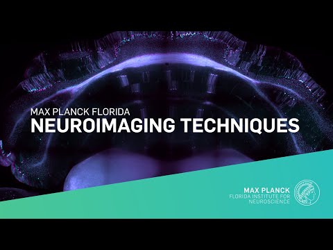 Advanced Neuroimaging Techniques 2024