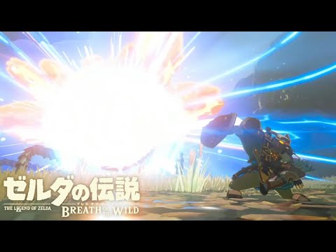 Headshot at the same time as Parry【The Legend of Zelda: Breath of the Wild】