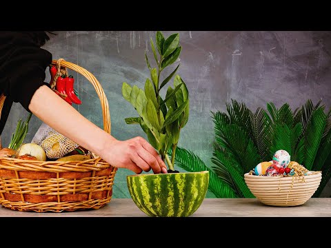 Grow & Propagate Plants | 12 Tricks For Your Garden That Are Guaranteed To Work!