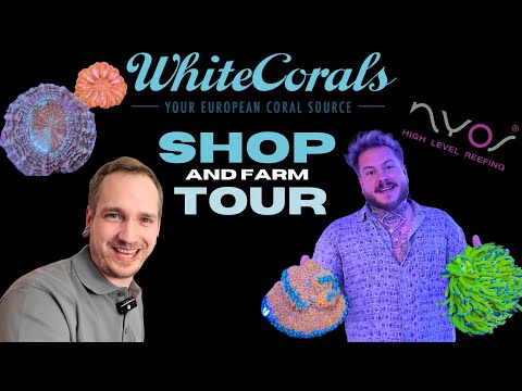 Exploring Saltwater Aquarium MEGA Store | White Corals Shop & Farm Tour | Germany 2024