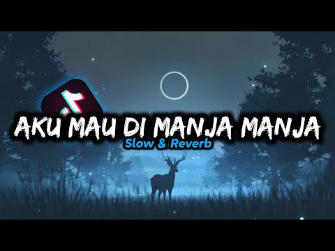 DJ Aku Mau Di Manja Manja - Slow & Reverb 🎧